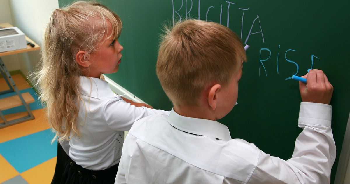 Из учителей – в кассиры: как эстония ликвидирует русские школы