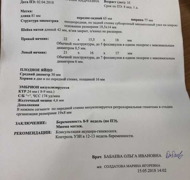 Развитие эмбриона и плода — восьмая неделя беременности