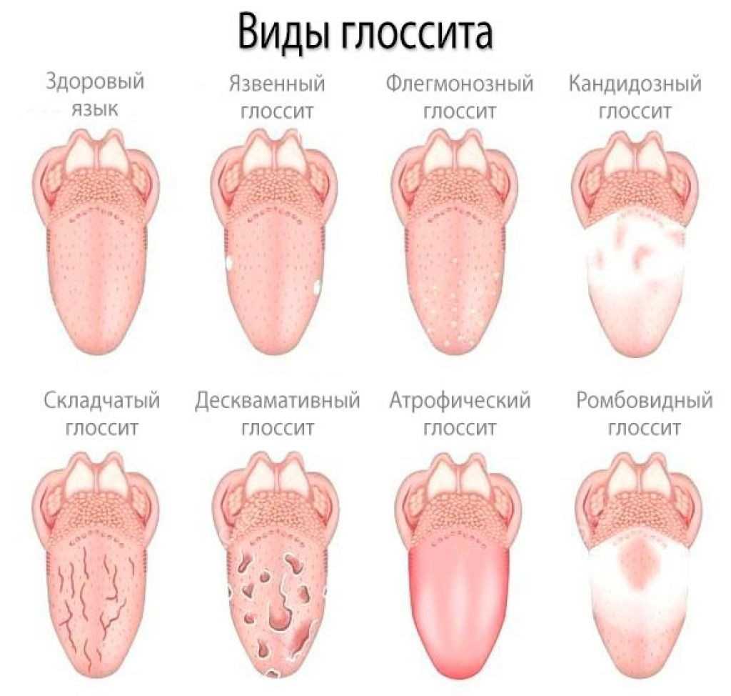 28 интересных фактов о русском языке