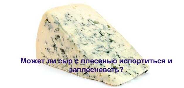 Когда плесень съедобная — 7 продуктов, которые врачи разрешили есть даже с ней