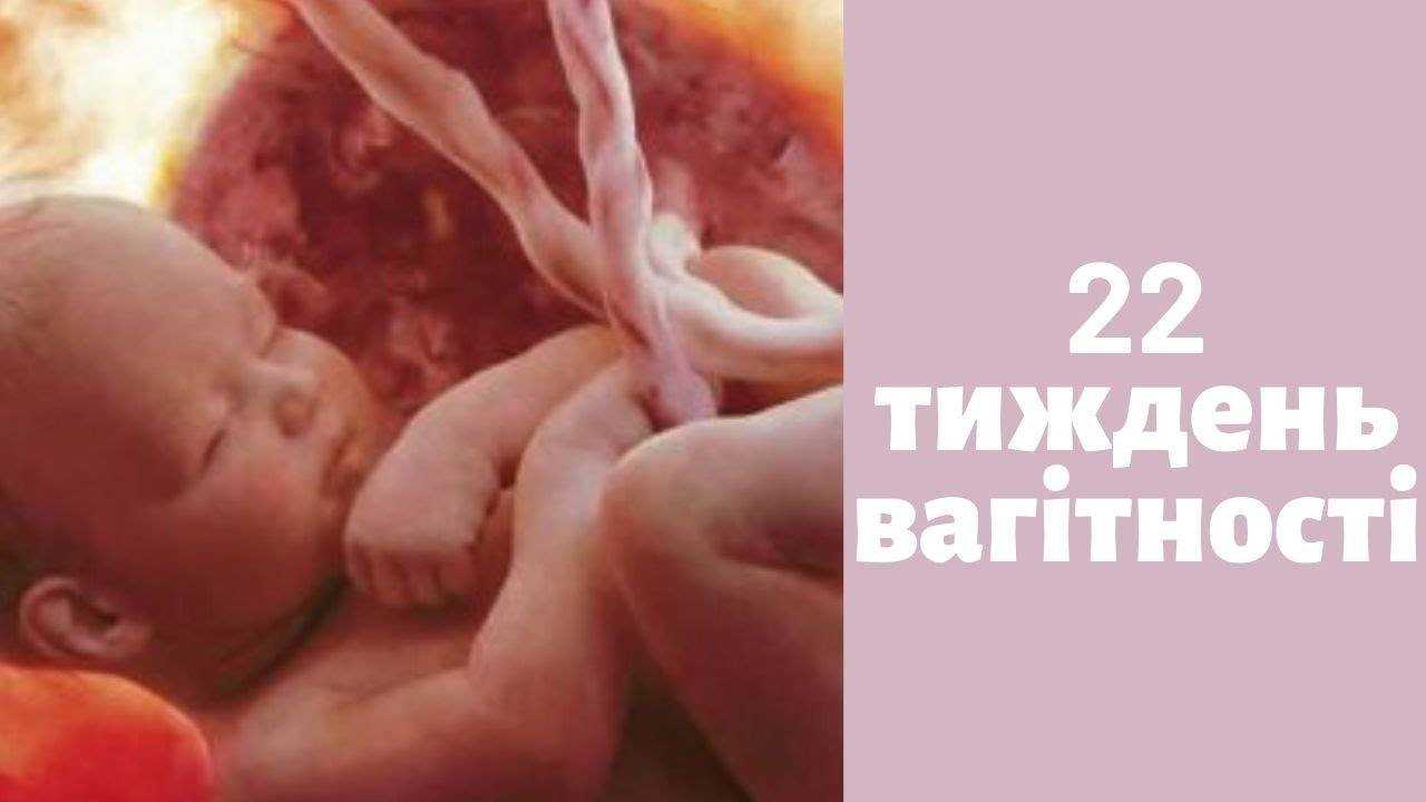 22 неделя беременности. календарь беременности   | материнство - беременность, роды, питание, воспитание