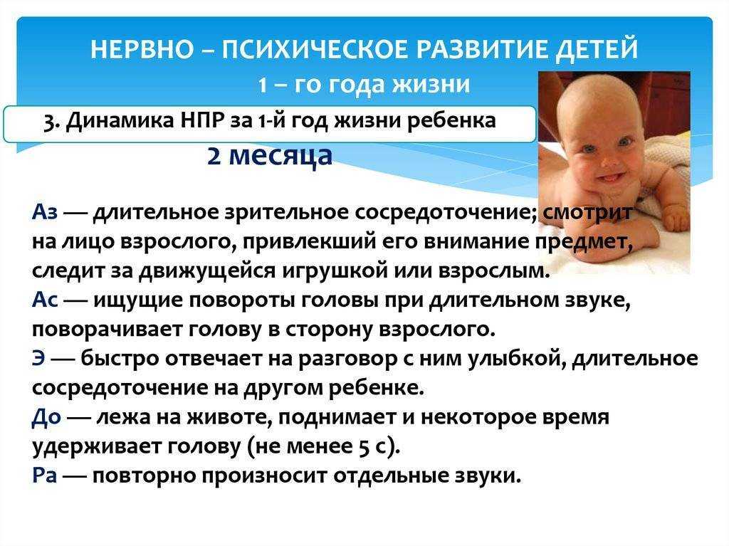 Как скоро дети узнают свою маму? - on secret hunt