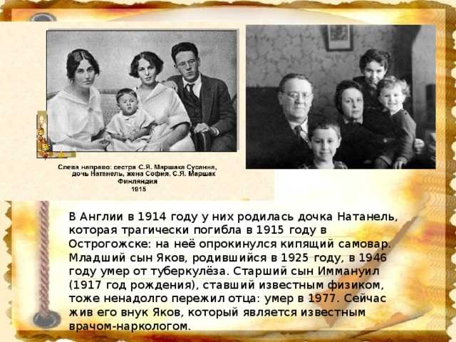 Краткая биография маршака для детей – интересное о писателе самуиле яковлевиче