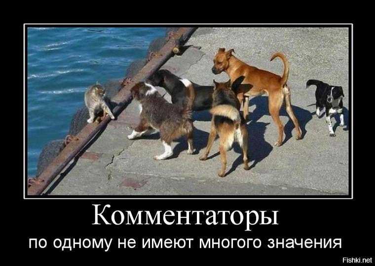 Что такое буллинг: в школе, у взрослых, в соцсетях