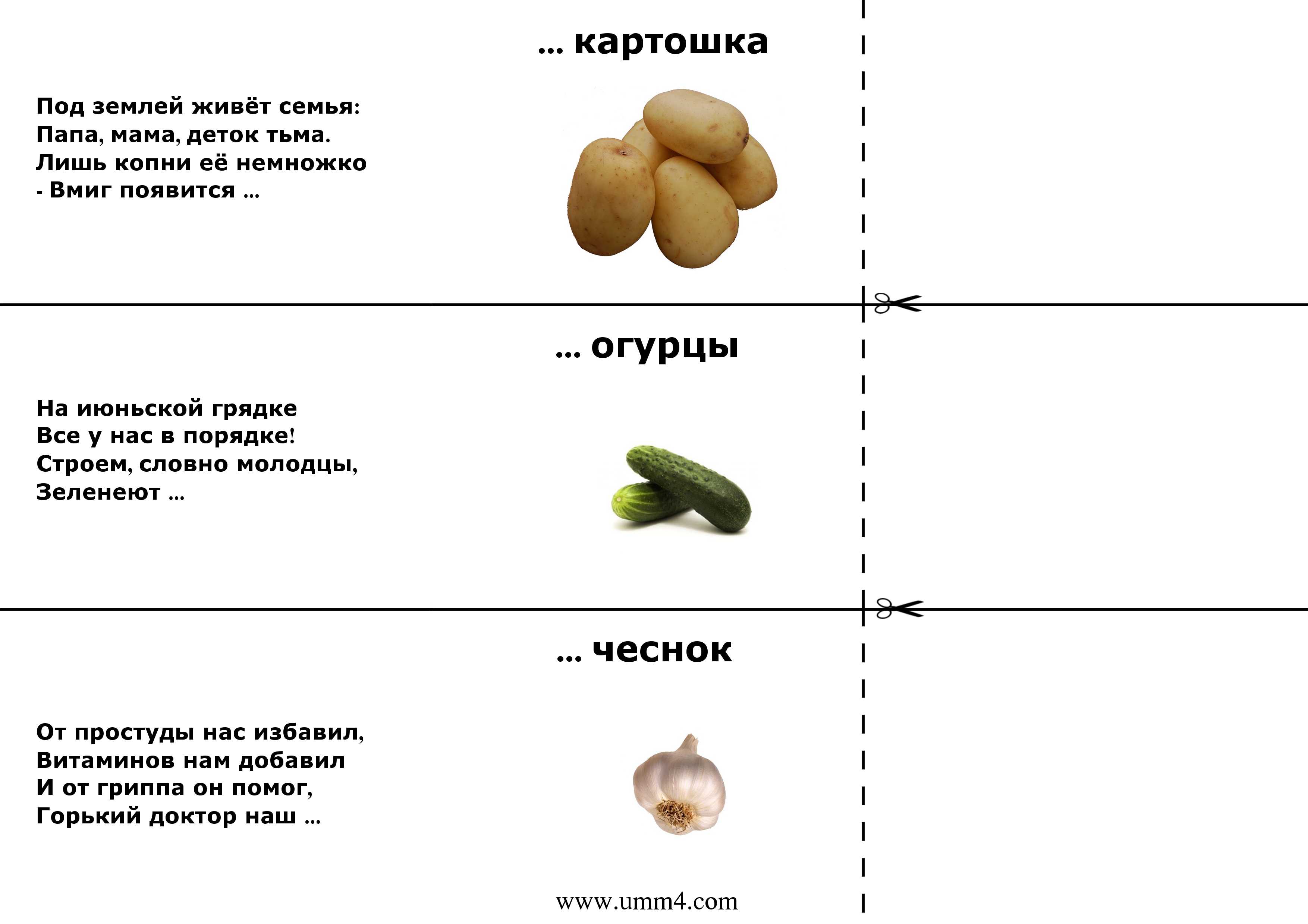 Что такое народные загадки