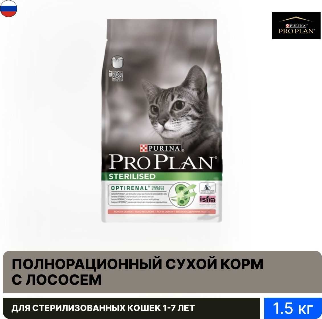 Собаки соревнуются в финале purina pro plan невероятные соревнования собак - поезд 2024