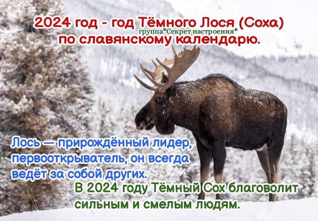 Зачатие ребёнка определённого пола, возможно ли это?