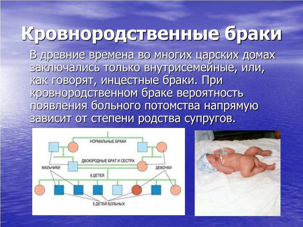Почему животные могут размножаться с родственниками, а люди нет? инцест и инбридинг.