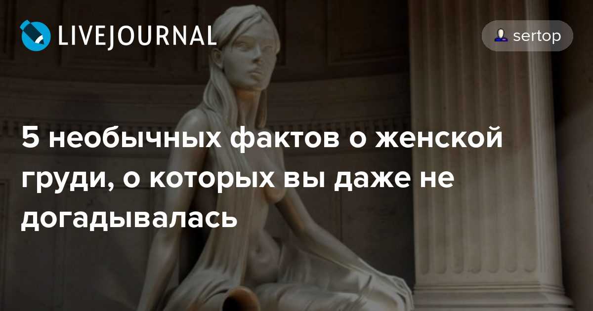 Как грамотно ответить на вопрос о размере груди и почему это неуместно