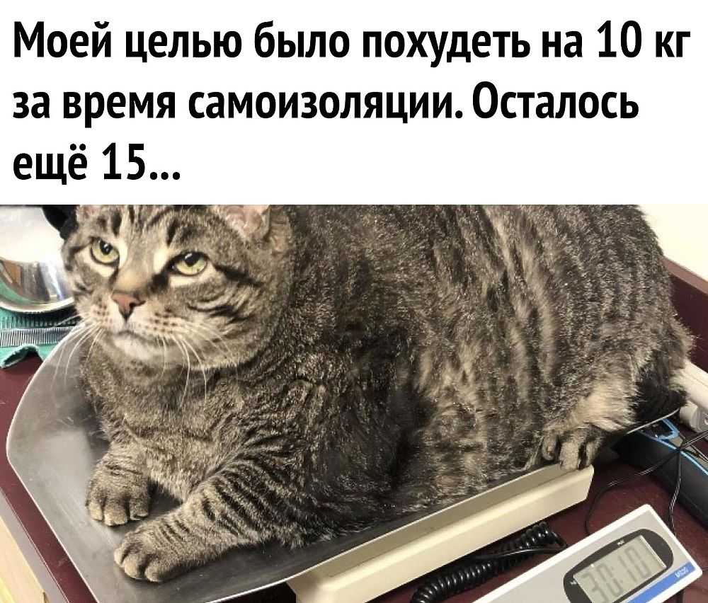 Над чем смеётесь? — under the universities
