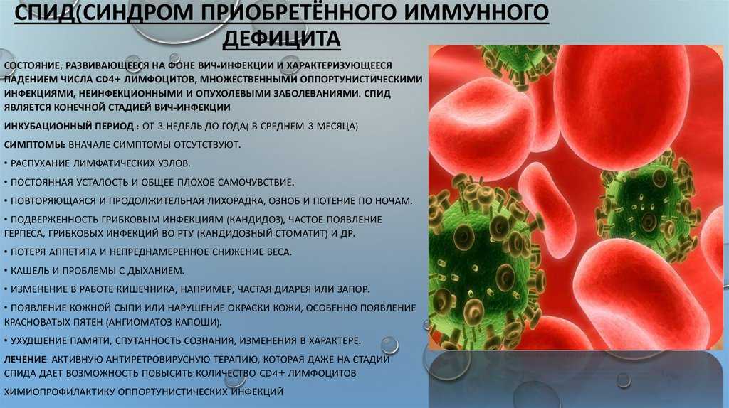 Вич: симптомы, признаки, инкубационный период, профилактика в статье инфекциониста ― смп-24