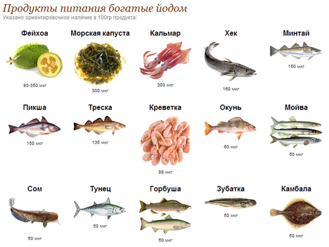 Список из 7 йодосодержащих продуктов, полезных для щитовидной железы