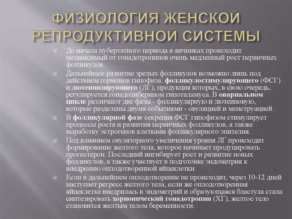 Какой размер у влагалища - ширина, глубина, как меняется