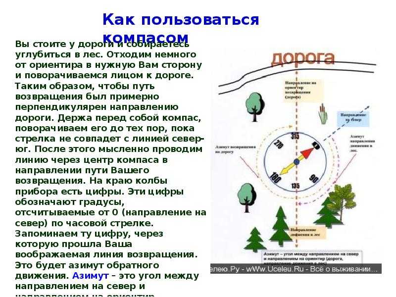 Основы техники безопасности для походного туризма: отдыхаем в лесу без риска