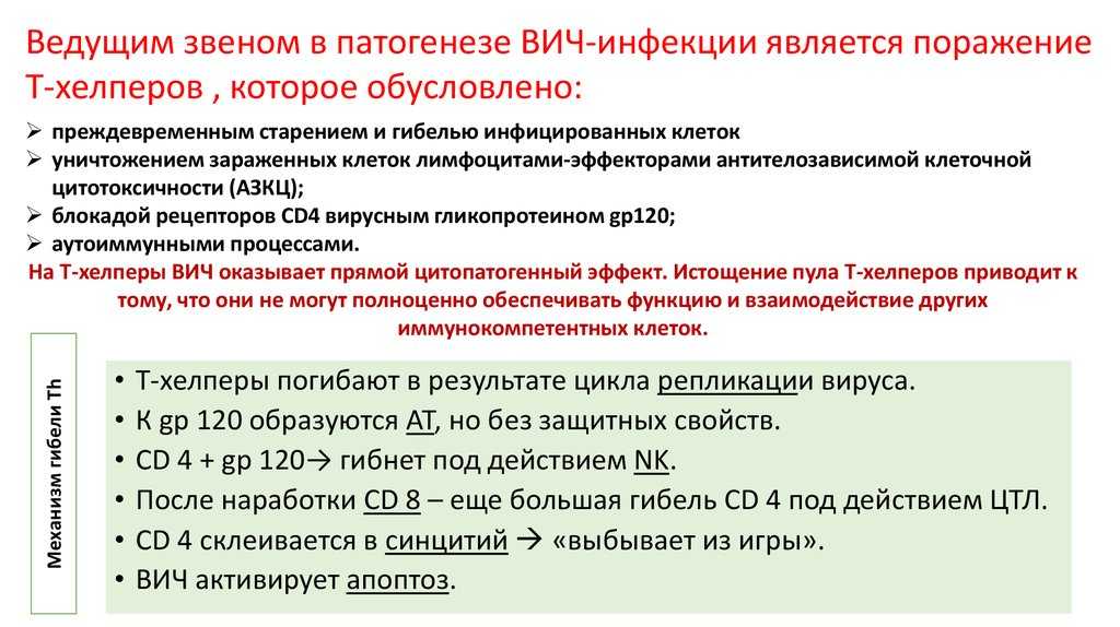 В чем разница между вичем и спидом