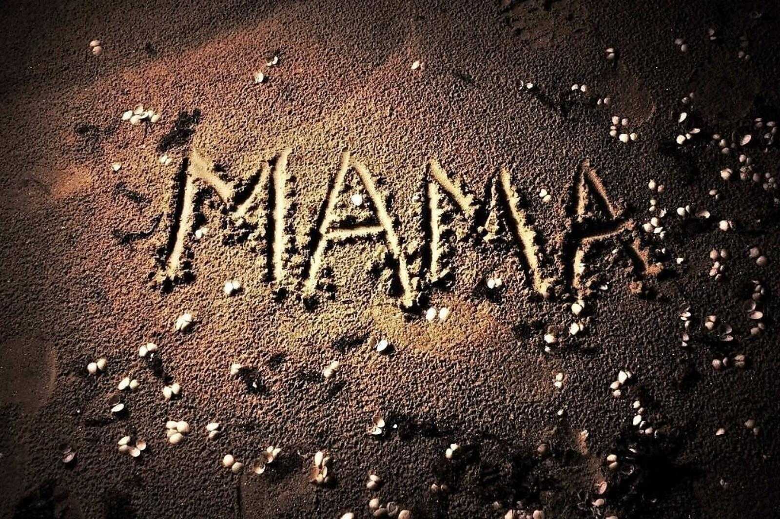 Ceминар для родителей «поговори со мною, мама поиграй со мною, папа»