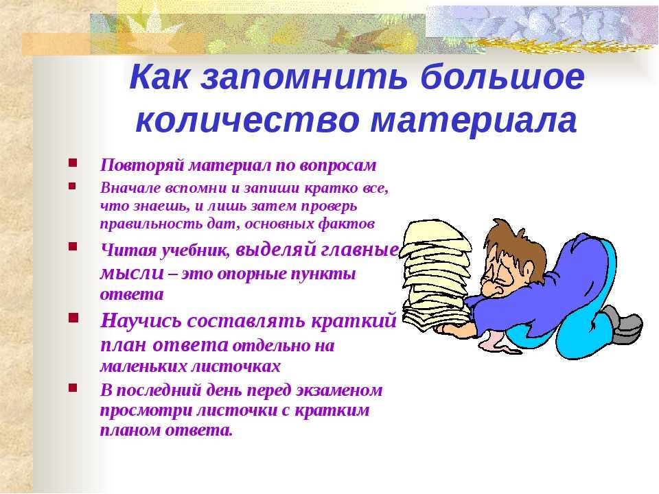 Как правильно готовиться к экзаменам по билетам и не только: как и когда начинать готовиться