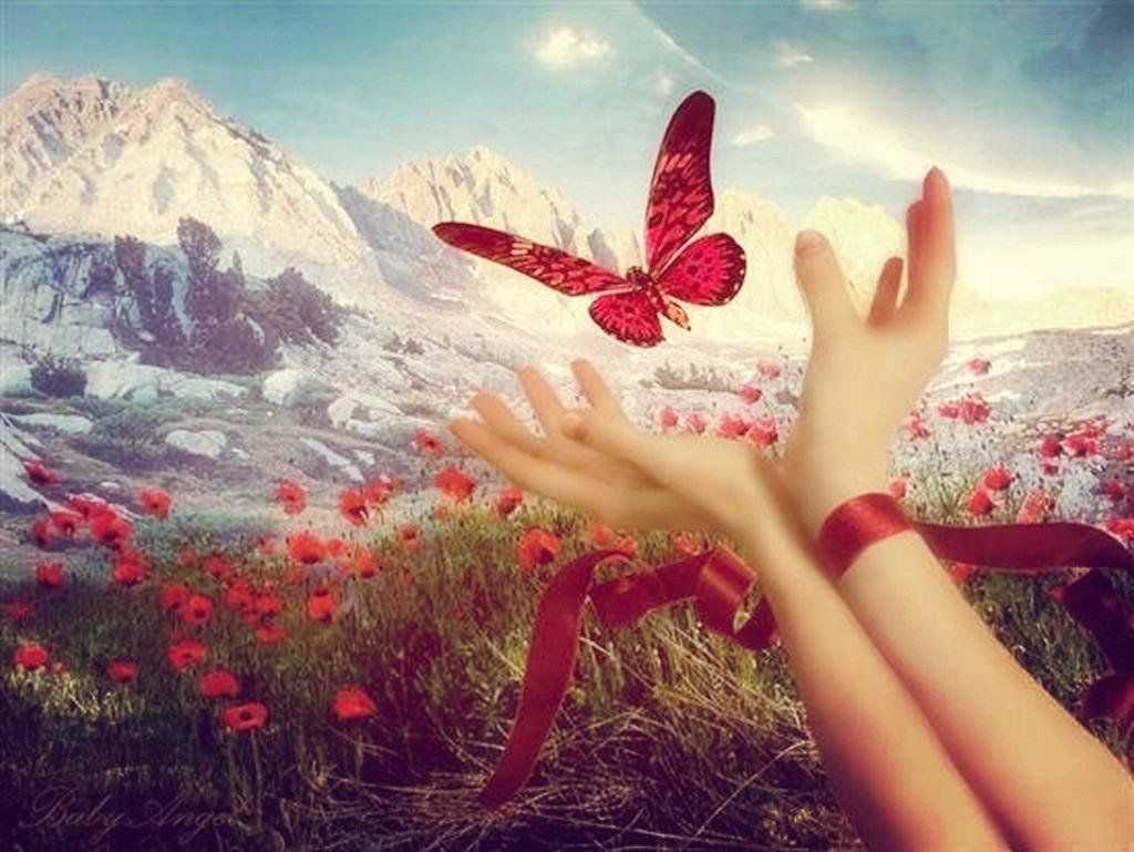 Я влюбилась… памятка влюбленному человеку. (из книги "любовь! благо или зло? психологические измерения")