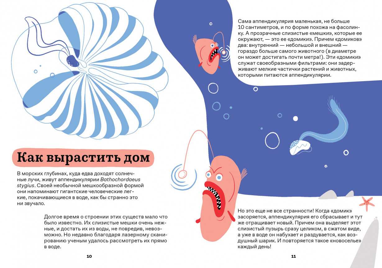 «придумай. сделай. сломай. повтори»