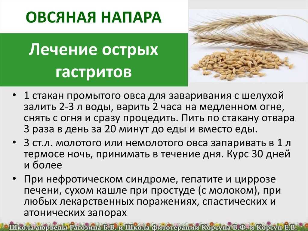Какие ошибки допускает каждый из нас при варке овсянки - лента новостей югры
