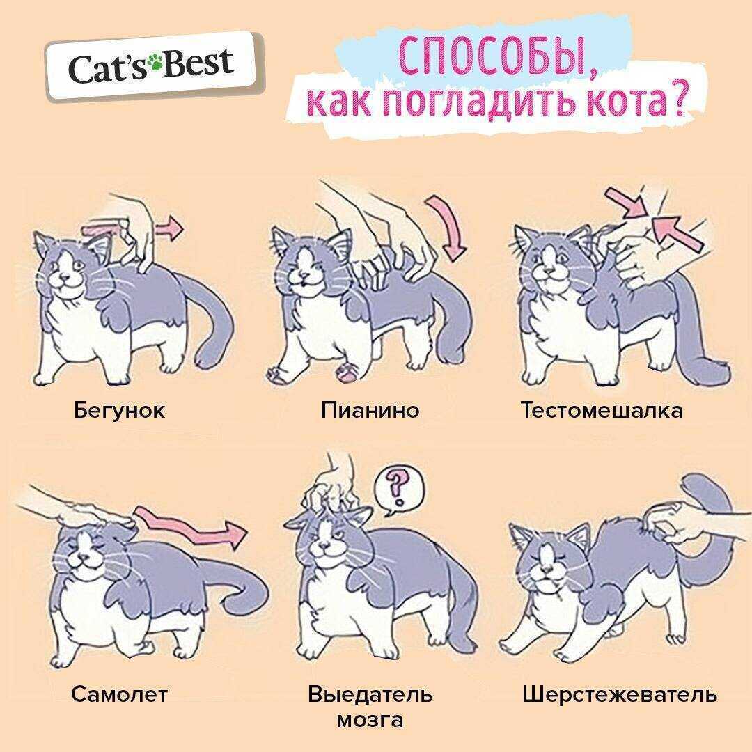 Как отказывать ребенку, если он не слышит слова нет – советы родителям