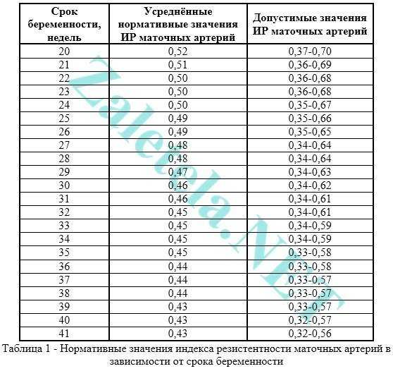 Узнайте, как формируется пуповина во время беременности, зачем она нужна и что из себя представляет пупок после рождения