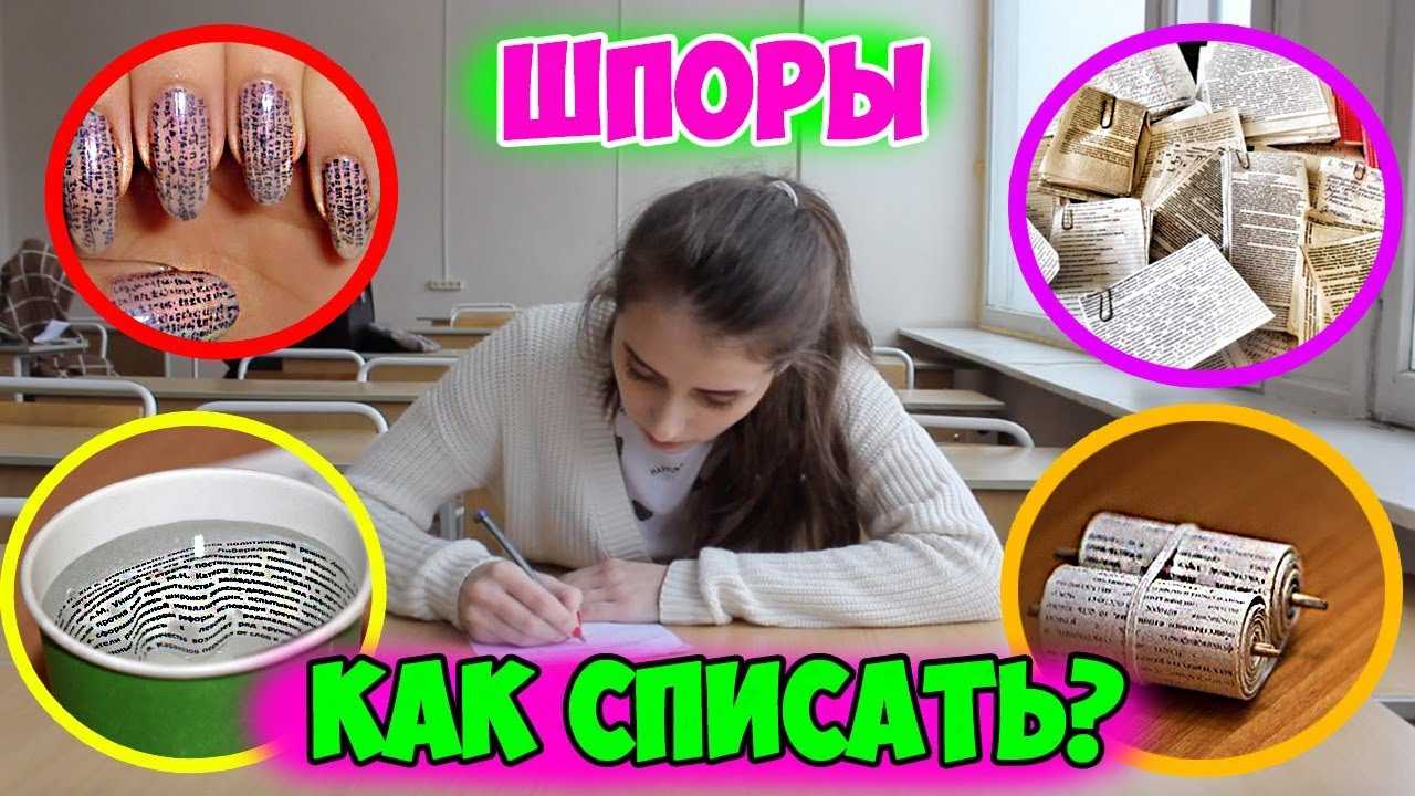 Зацикленность и безразличие: как не впасть в крайности при подготовке к егэ - без сменки