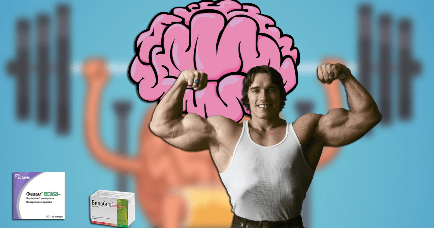 20 продуктов для мозга: какая пища самая полезная для улучшения работы нервной системы и повышения работоспособности человека?