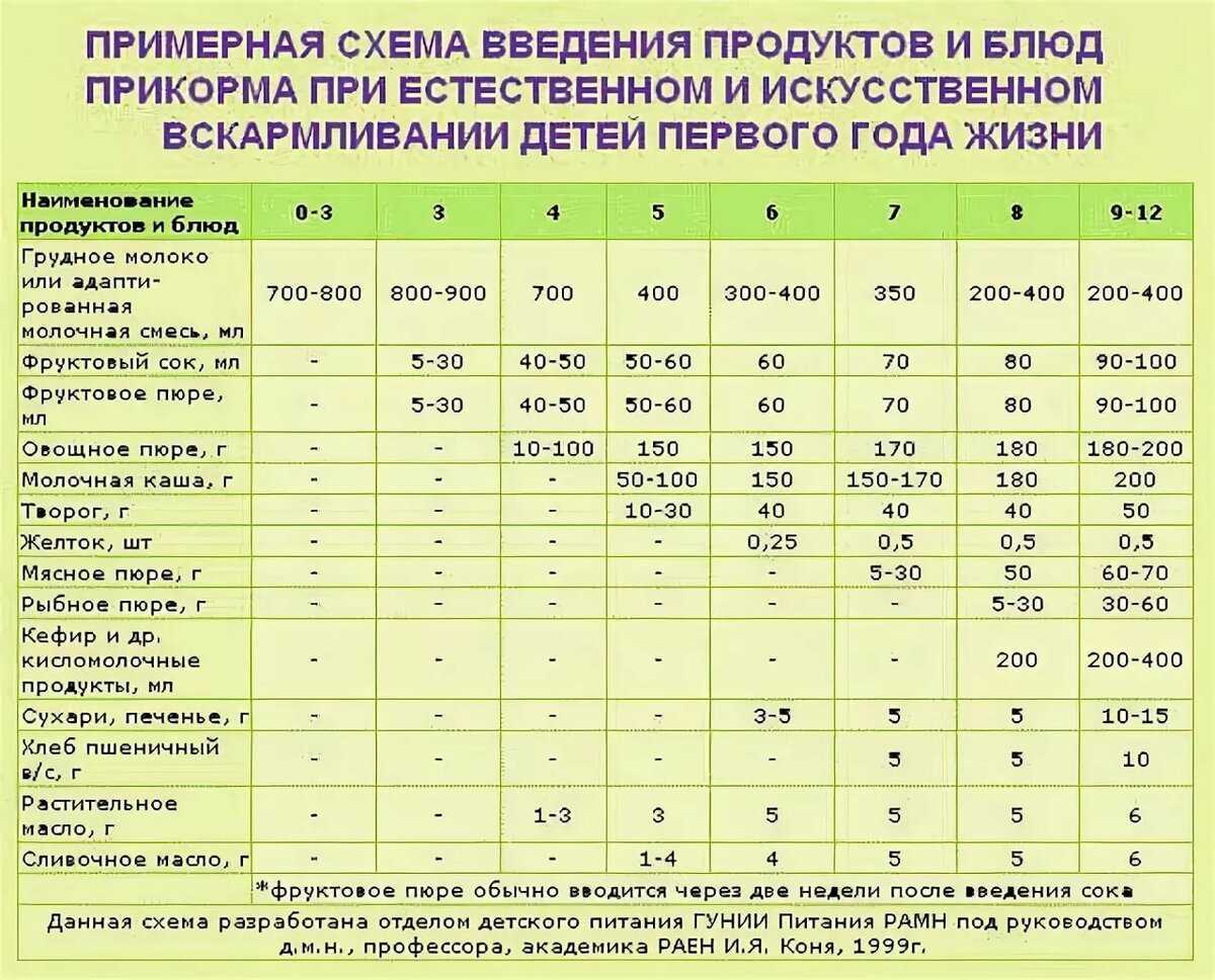 Как вводить прикорм - с чего и когда вводить прикорм