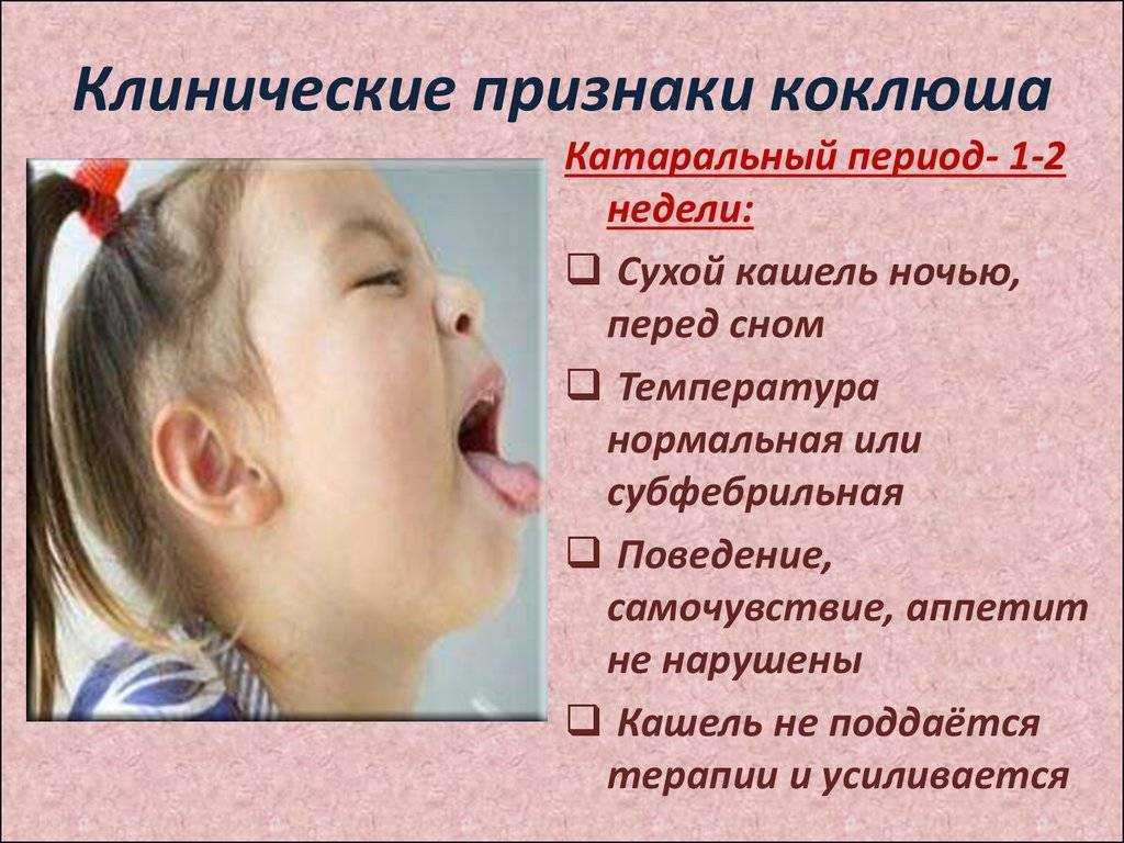 Коклюш у детей: симптомы, лечение, профилактика народные физиотерапевтические средства самолечение доктор комаровский рассказывает стадии болезни