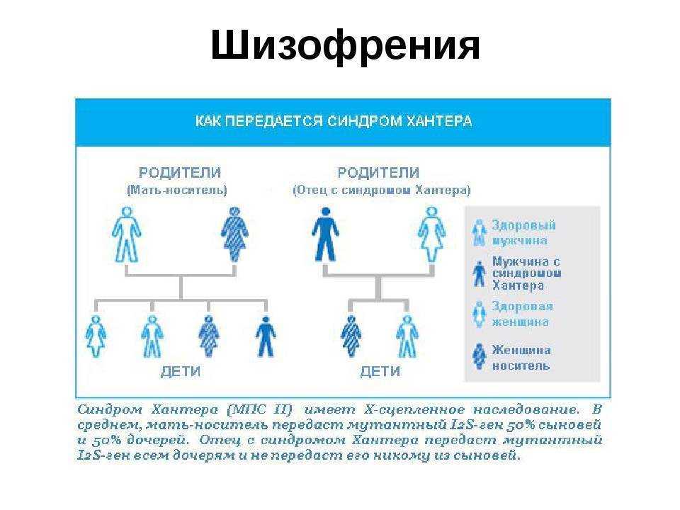 Какие гены передаются от отца к дочери или какие генетические черты дети берут от мамы, а какие от папы