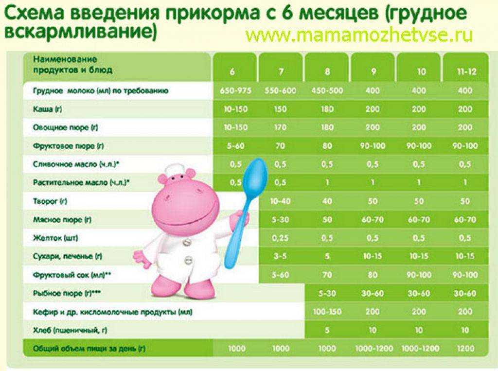 Когда можно давать укроп и петрушку детям