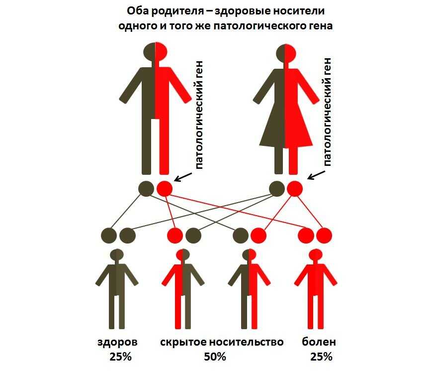 Разрушаем мифы: что на самом деле передается ребенку по наследству? 10 фактов из генетики