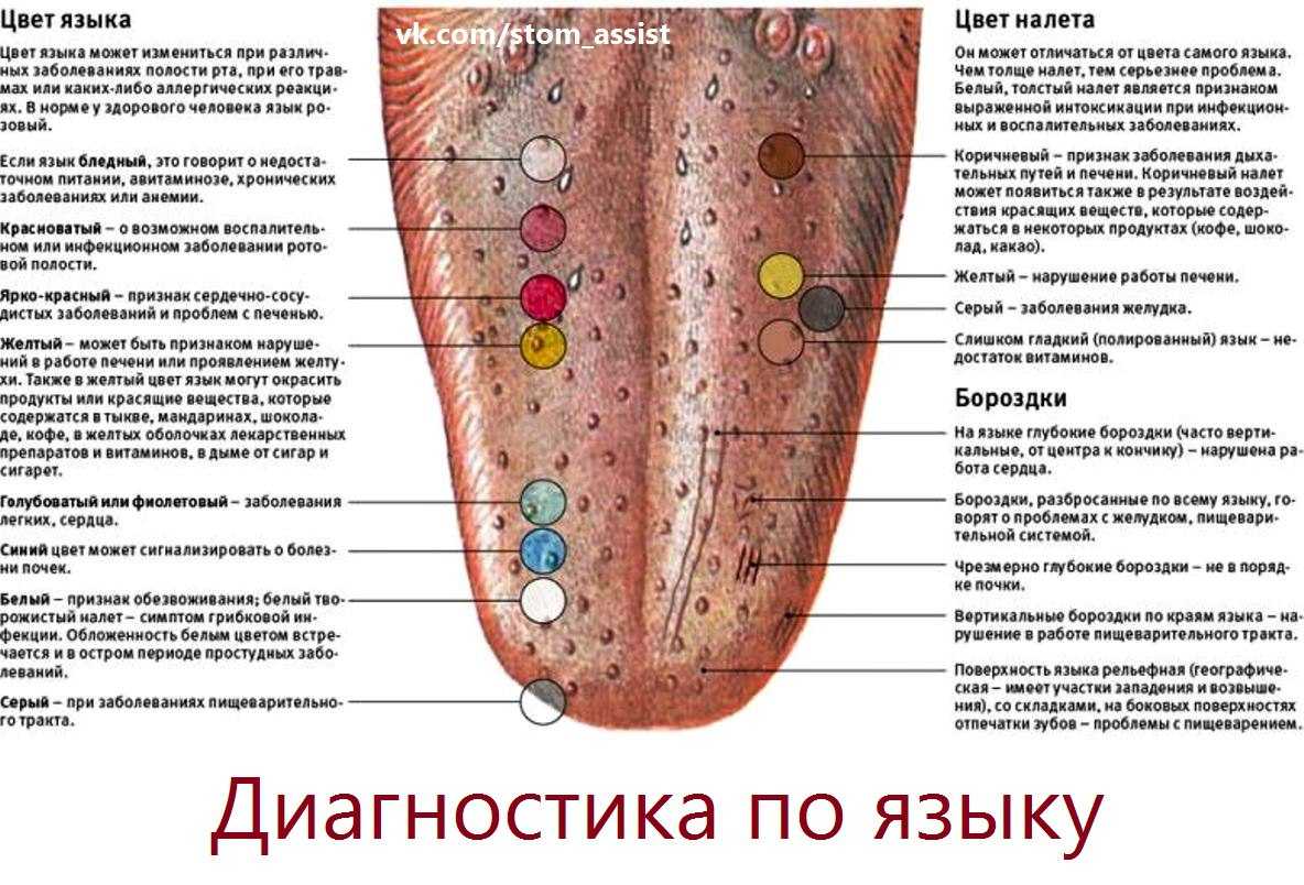 Интересные факты о языках мира