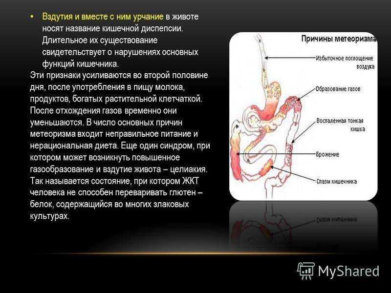 Урчание в кишечнике | как избавиться от урчания в животе у ребенка и взрослого с помощью пробиотиков и пребиотиков