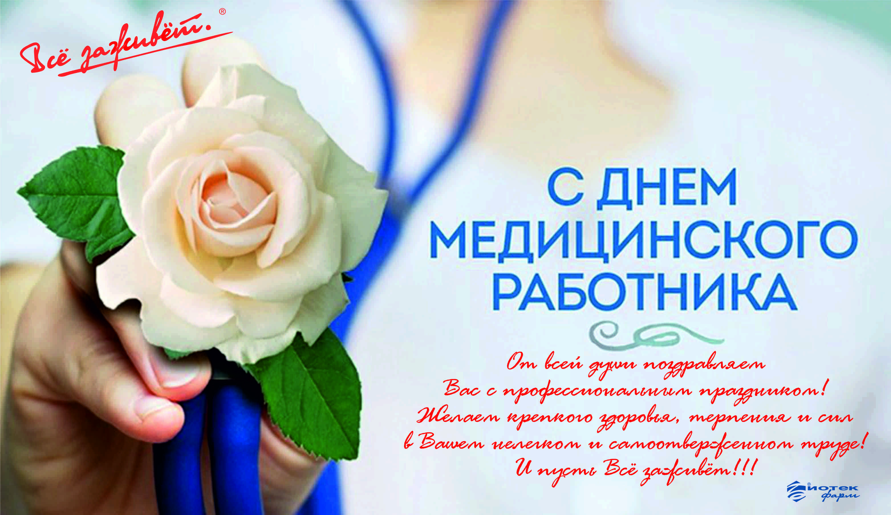 «чудесный доктор» главные герои