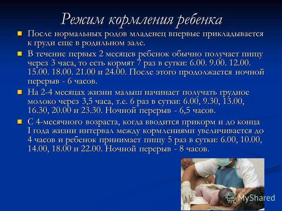 Чем отличается кормление по режиму и кормление по требованию?   | материнство - беременность, роды, питание, воспитание