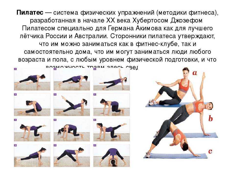 Пилатес для начинающих | как начать заниматься этим мощным упражнением