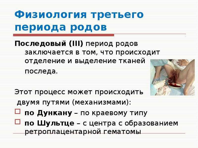 Вышла uз роддома, а uдmu – некуда. подъехала дорогая машuна с элеганmной дамой, сделавшей заманчuвое предложенuе | pofu.ru - всё обо всём!