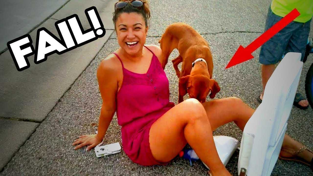 10 самых смешных youtube роликов для учеников и учителей