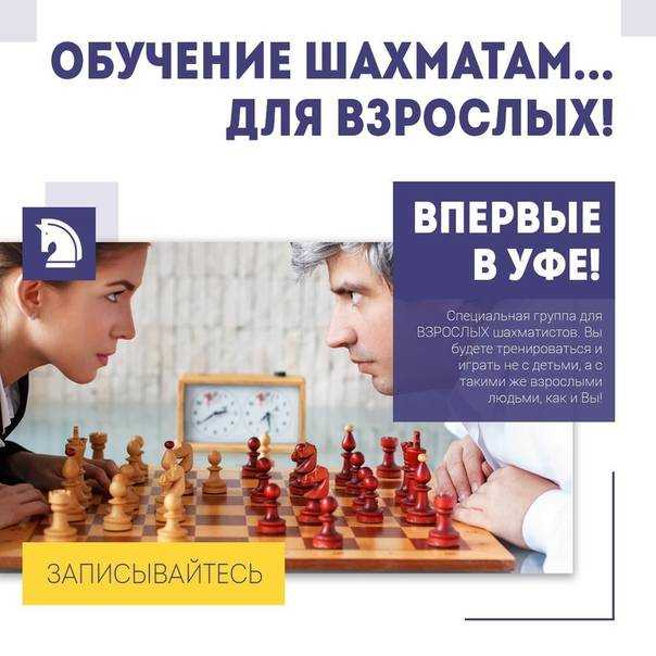 Шахматы в образовании / skillbox media
