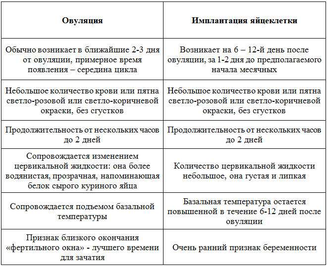 Повышенный аппетит перед месячными: почему он повышается и увеличивается вес, диета во время менструации и пмс, зверский повышенный голод