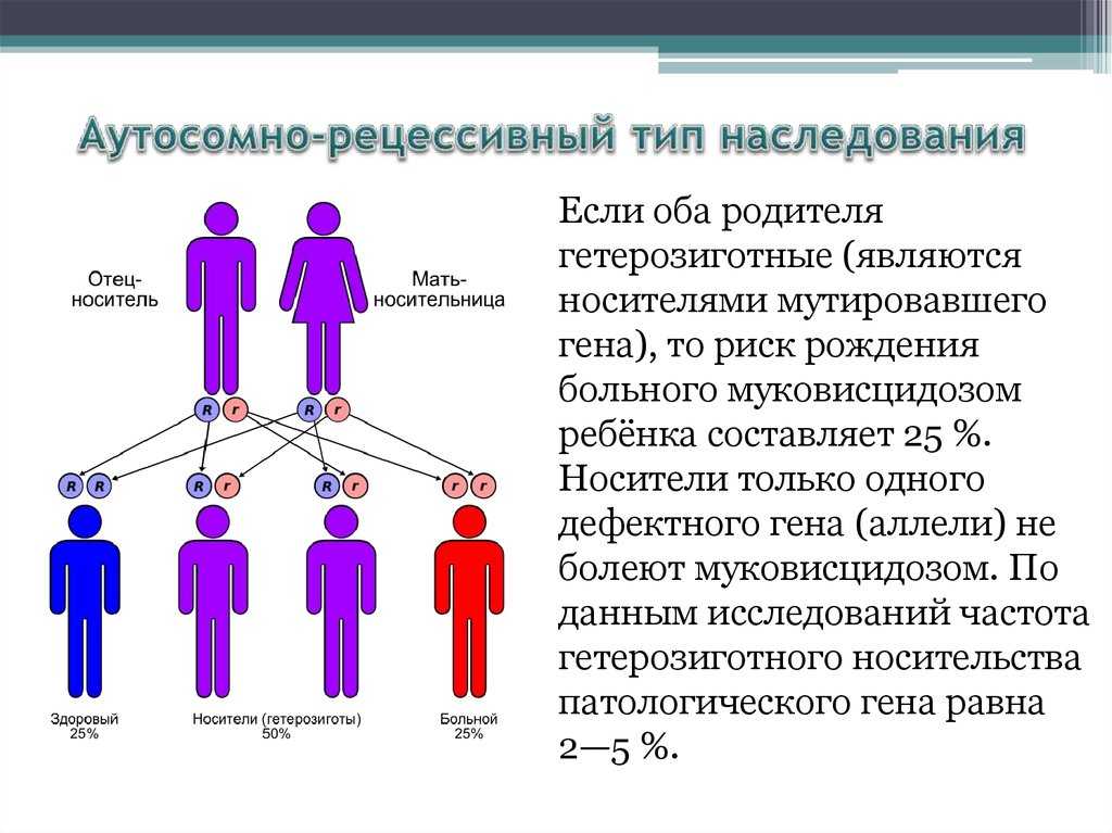 Разрушаем мифы: что на самом деле передается ребенку по наследству? 10 фактов из генетики