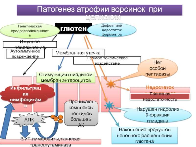 Аллергия на белок коровьего молока: варианты замены. питание при аллергии на молочные продукты при аллергии можно употреблять молочные продукты