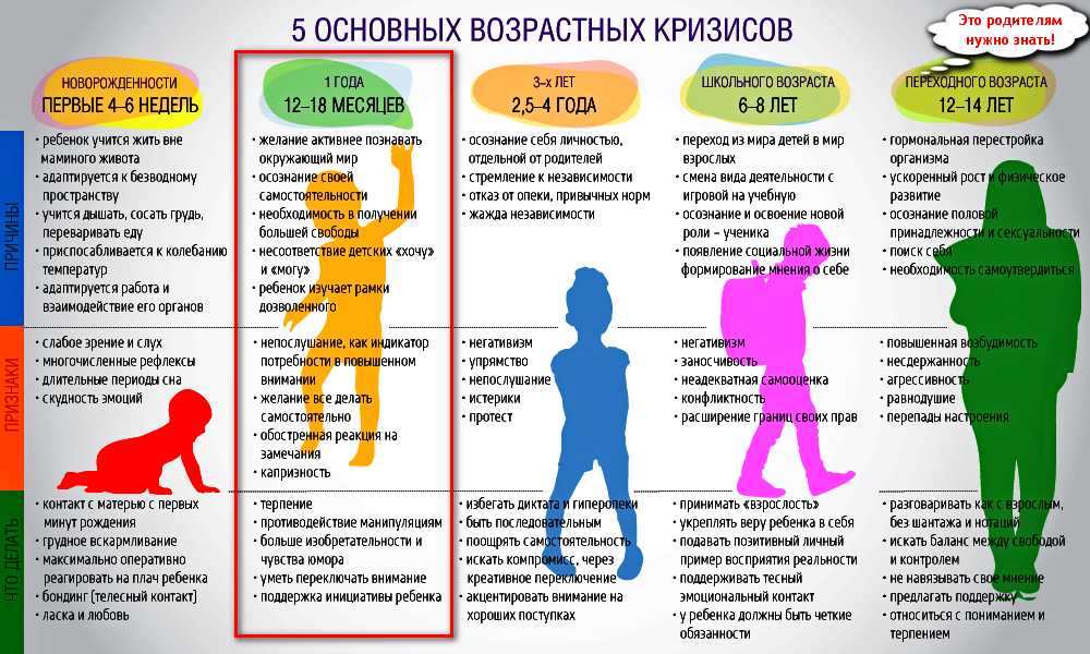Развивающие игрушки для малышей от 1 года: как выбрать