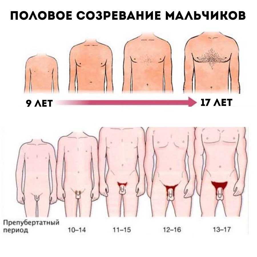 Что такое пубертатный период и какие “сюрпризы” могут поджидать родителей подростков? - детская психология