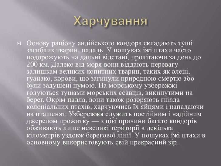 80 интересных фактов о некрасове, которые вы не знали