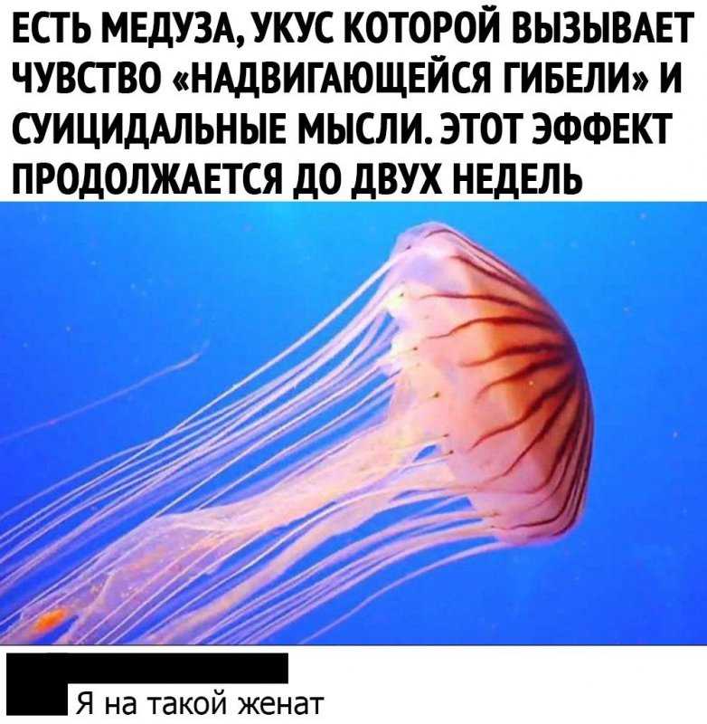 Страшилки о море: морские змеи, огненные черви и кусачие блохи на курортах