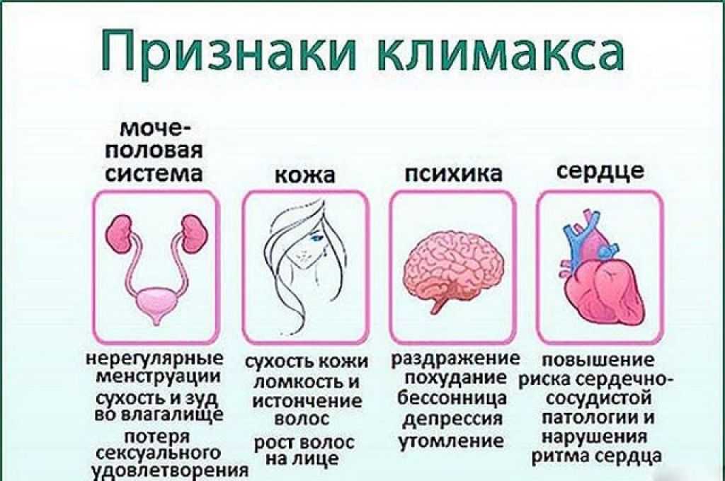 Во сколько лет начинается климаксы у женщин