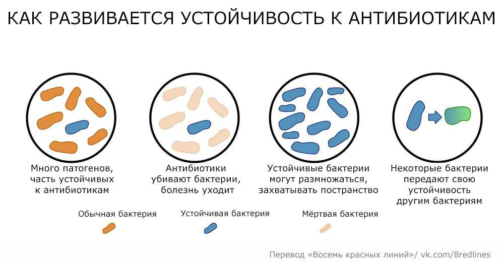 Использование антибиотиков может повысить риск развития ревматоидного артрита